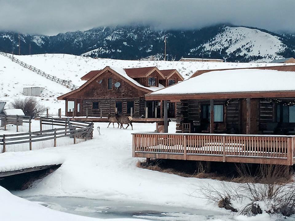 Creek Cabin Gardiner Buitenkant foto